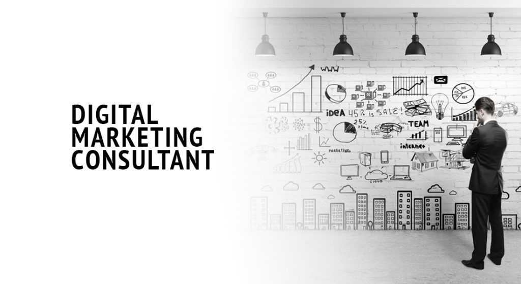Expect from a” Top Digital Marketing Consultant”