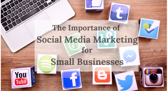 The Importance of Social Media Marketing for Small Businesses in Coimbatore